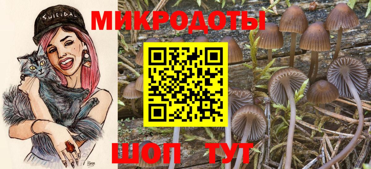 купить наркоту  Псилоцибиновые грибы мухоморы  Псилоцибиновые грибы Psilocybine cubensis  Вход с VPN  Благовещенск 